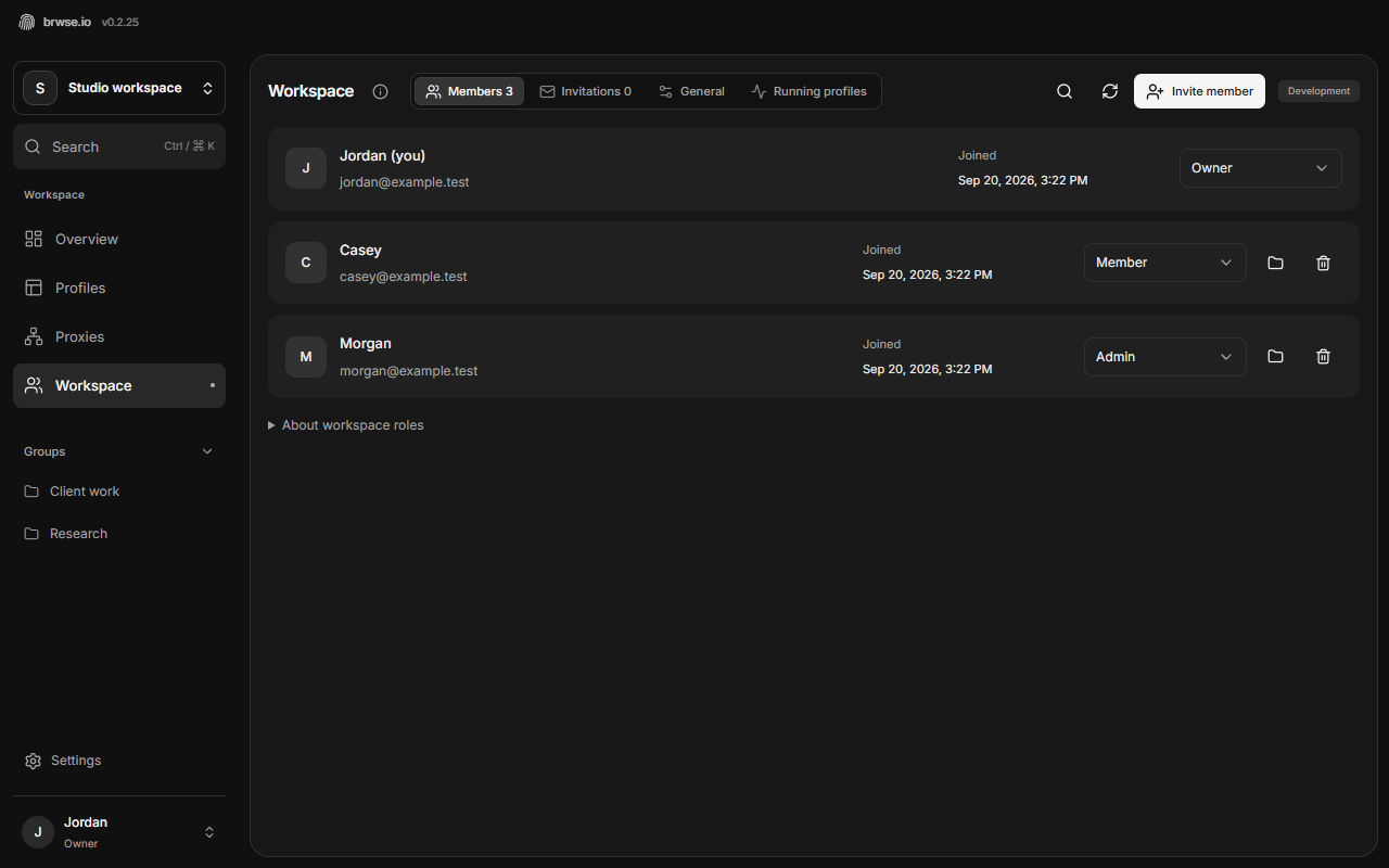 The brwse.io Windows desktop workspace management area showing team members, roles, and access controls